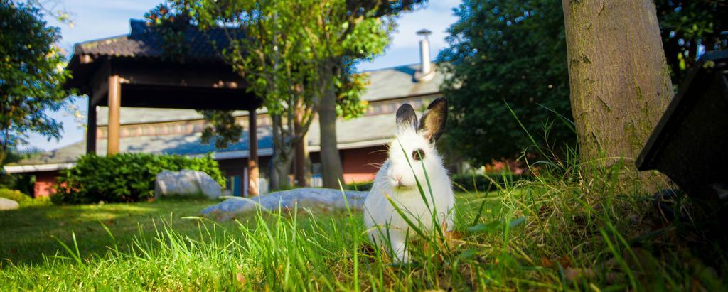 Regalia Resort & Spa - Li Gong Di,Suzhou ซูโจว ภายนอก รูปภาพ